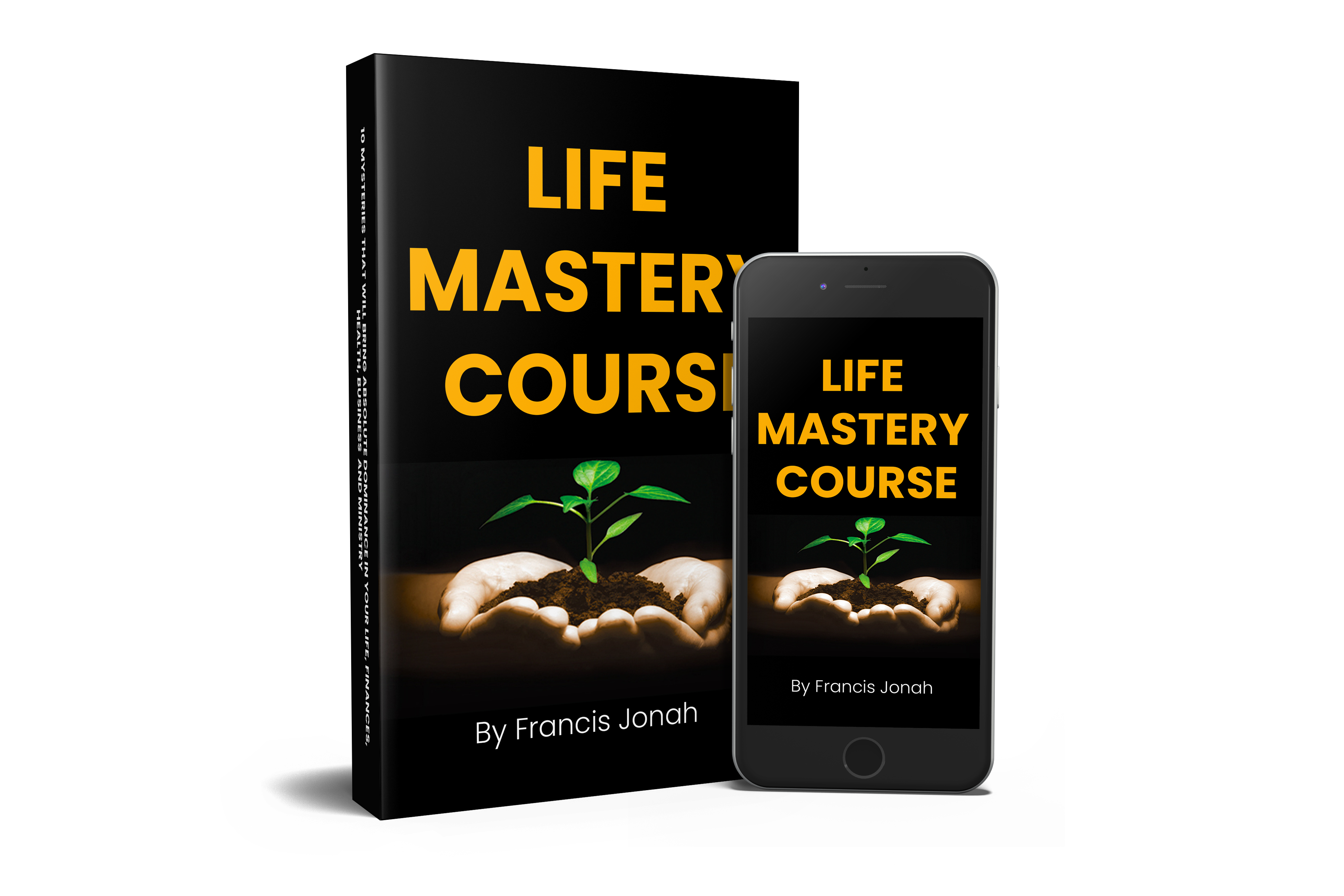 Life Mastery Course